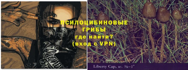 Альфа ПВП Нефтекумск