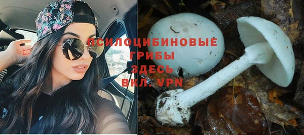синтетический гашиш Нефтегорск