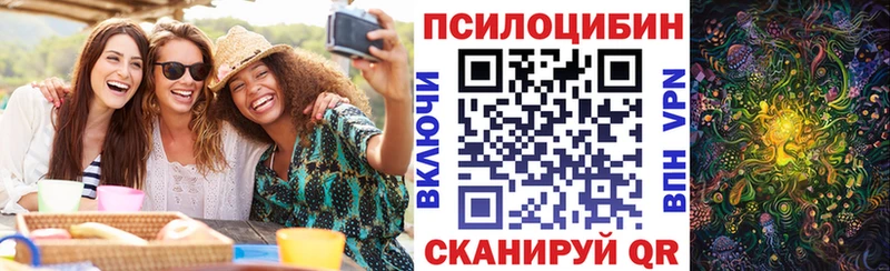 OMG ТОР  Чкаловск  Галлюциногенные грибы Cubensis 